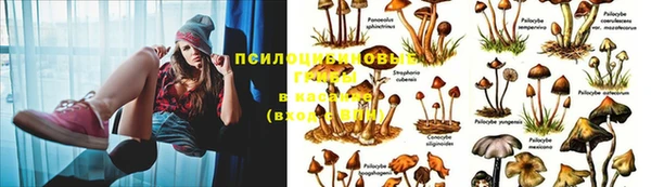 герыч Алзамай