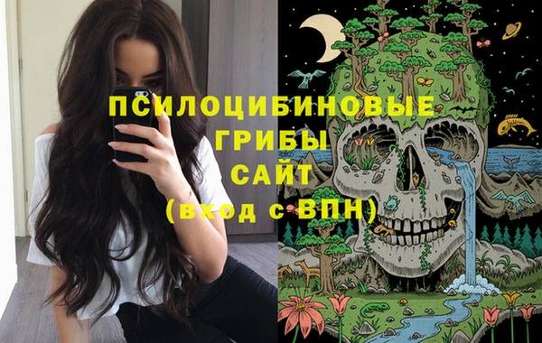 герыч Алзамай